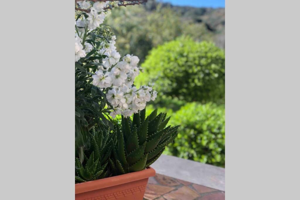 Seafront Apartment Karfas Dış mekan fotoğraf